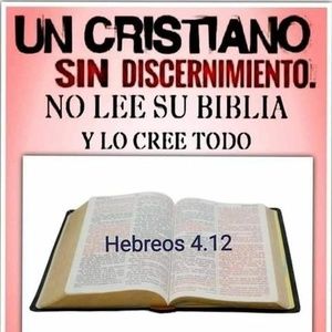 Meet your Posher, Abigail